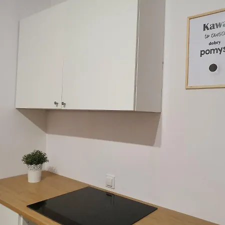 Apartament Grass Vii Γκντανσκ